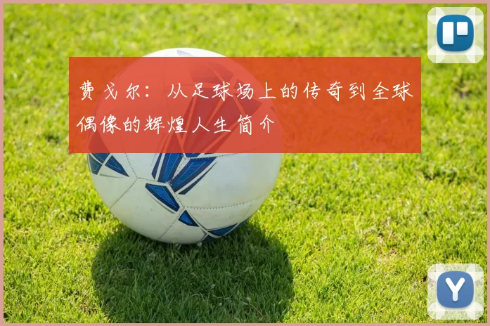 费戈尔：从足球场上的传奇到全球偶像的辉煌人生简介