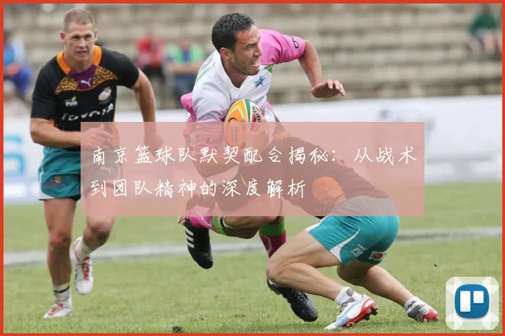 南京篮球队默契配合揭秘：从战术到团队精神的深度解析
