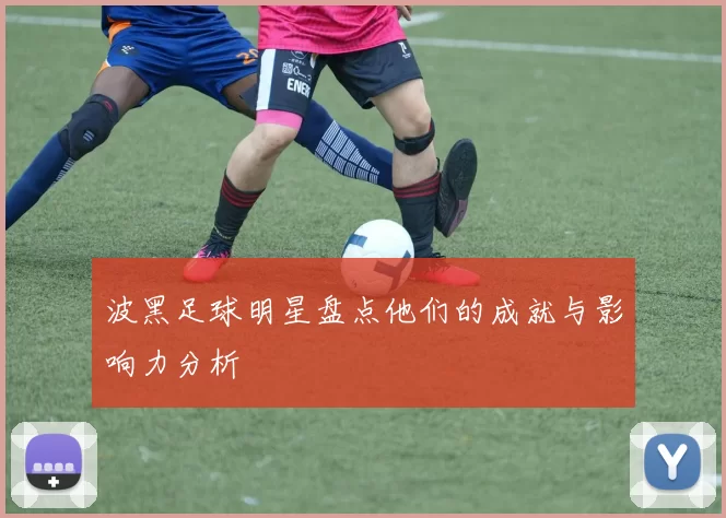 波黑足球明星盘点他们的成就与影响力分析