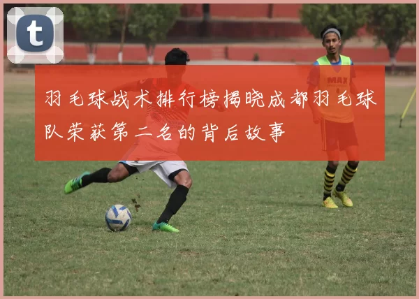 羽毛球战术排行榜揭晓成都羽毛球队荣获第二名的背后故事
