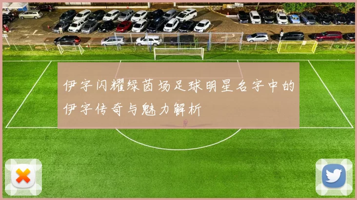 伊字闪耀绿茵场足球明星名字中的伊字传奇与魅力解析
