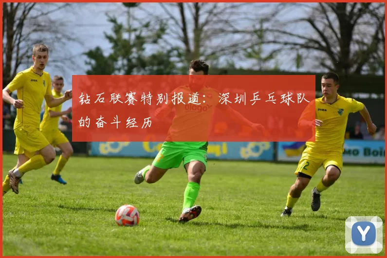 钻石联赛特别报道：深圳乒乓球队的奋斗经历