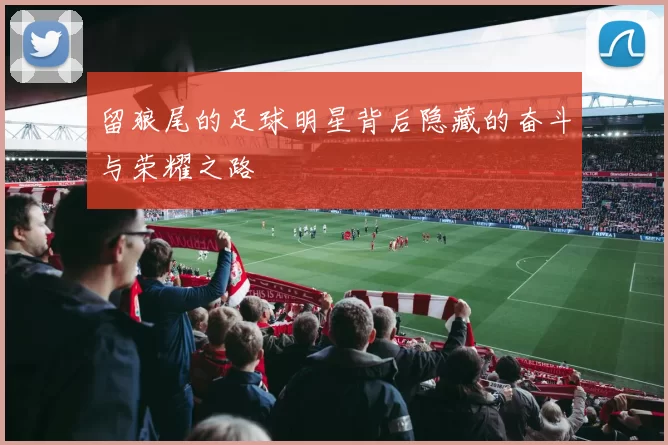 留狼尾的足球明星背后隐藏的奋斗与荣耀之路