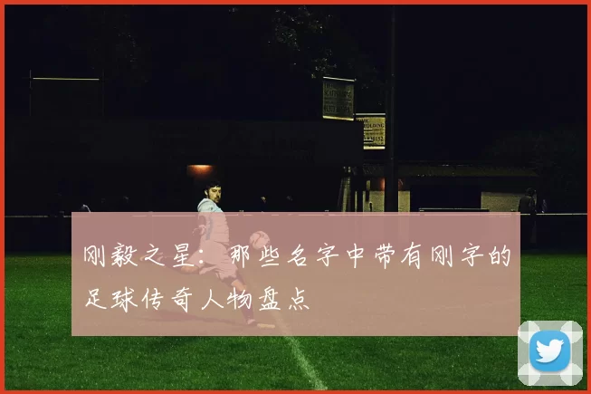 刚毅之星：那些名字中带有刚字的足球传奇人物盘点