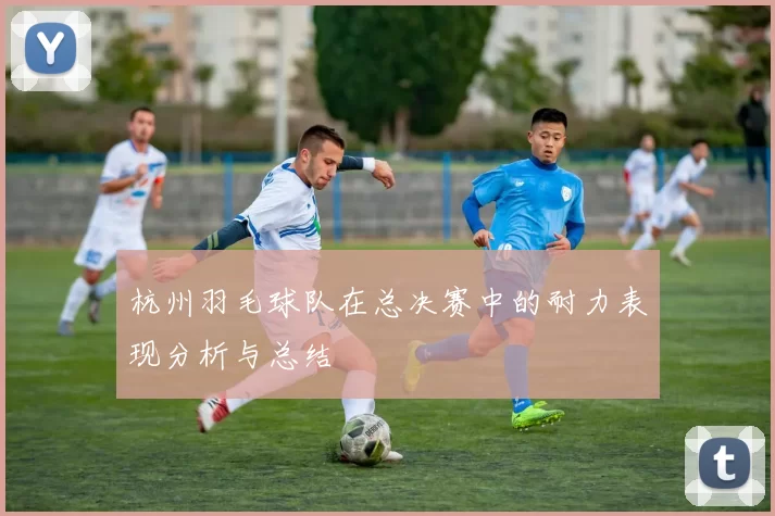 杭州羽毛球队在总决赛中的耐力表现分析与总结