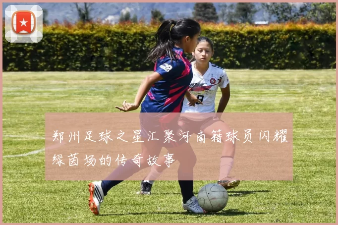 郑州足球之星汇聚河南籍球员闪耀绿茵场的传奇故事