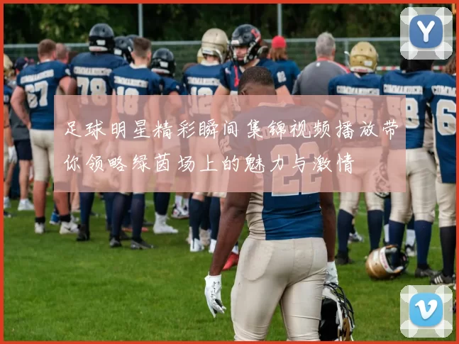 足球明星精彩瞬间集锦视频播放带你领略绿茵场上的魅力与激情