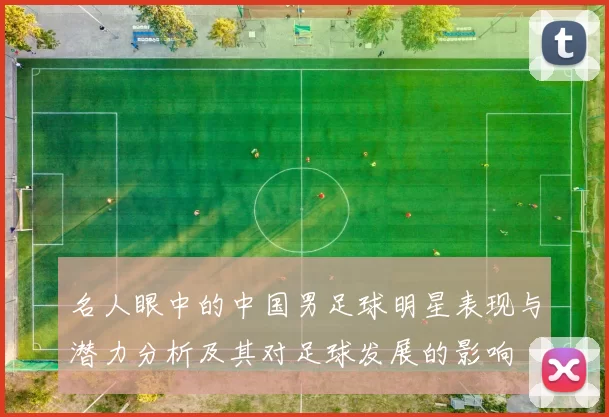 名人眼中的中国男足球明星表现与潜力分析及其对足球发展的影响