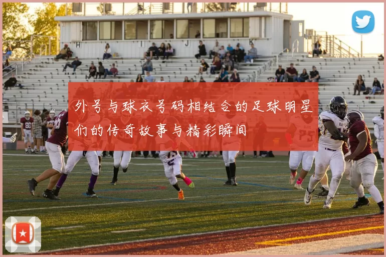 外号与球衣号码相结合的足球明星们的传奇故事与精彩瞬间