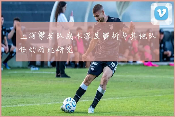 上海攀岩队战术深度解析与其他队伍的对比研究
