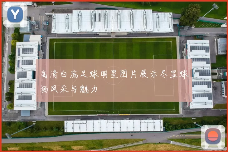 高清白底足球明星图片展示尽显球场风采与魅力