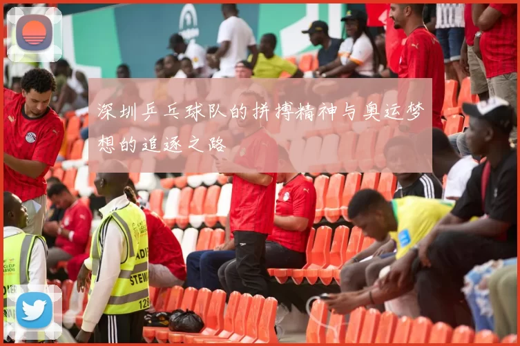 深圳乒乓球队的拼搏精神与奥运梦想的追逐之路