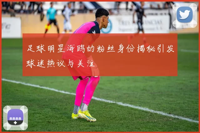 足球明星海鸥的粉丝身份揭秘引发球迷热议与关注