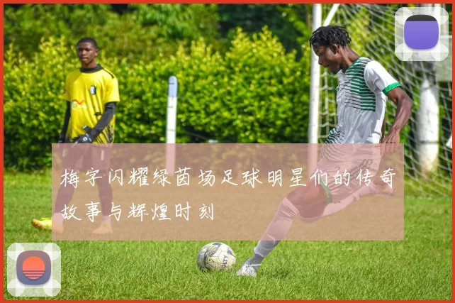 梅字闪耀绿茵场足球明星们的传奇故事与辉煌时刻