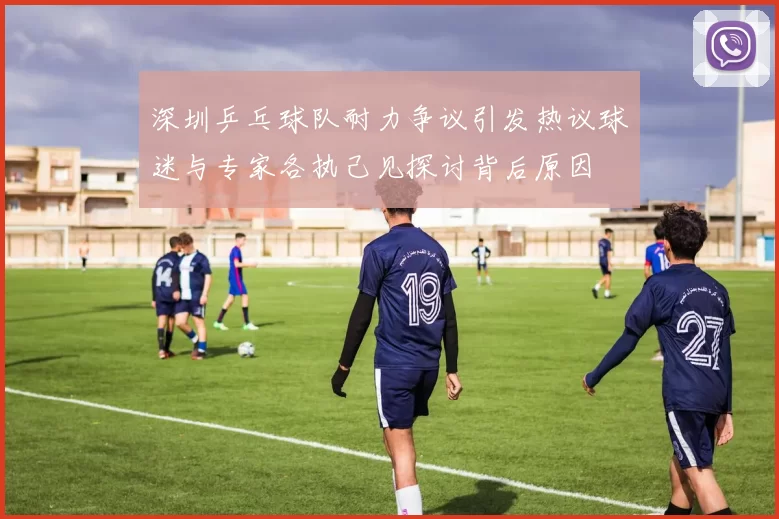 深圳乒乓球队耐力争议引发热议球迷与专家各执己见探讨背后原因