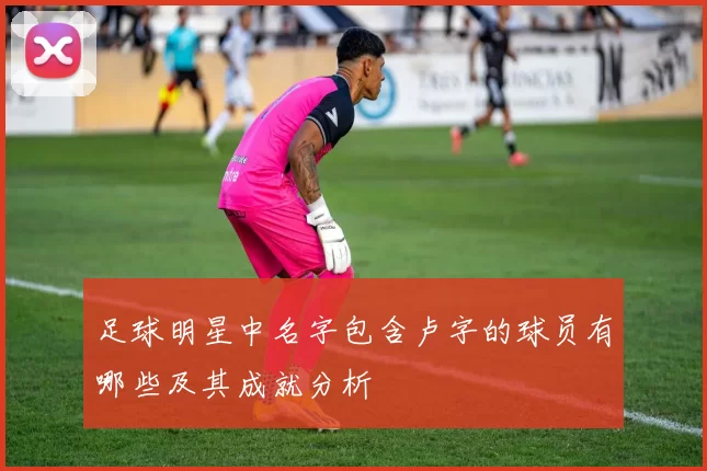足球明星中名字包含卢字的球员有哪些及其成就分析