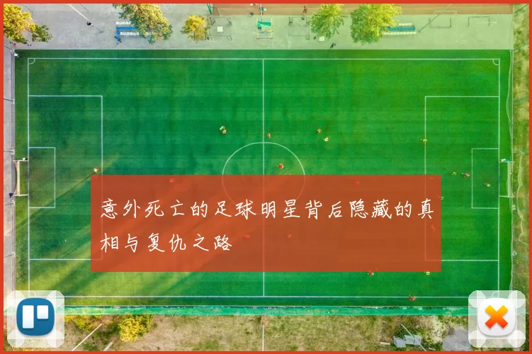 意外死亡的足球明星背后隐藏的真相与复仇之路