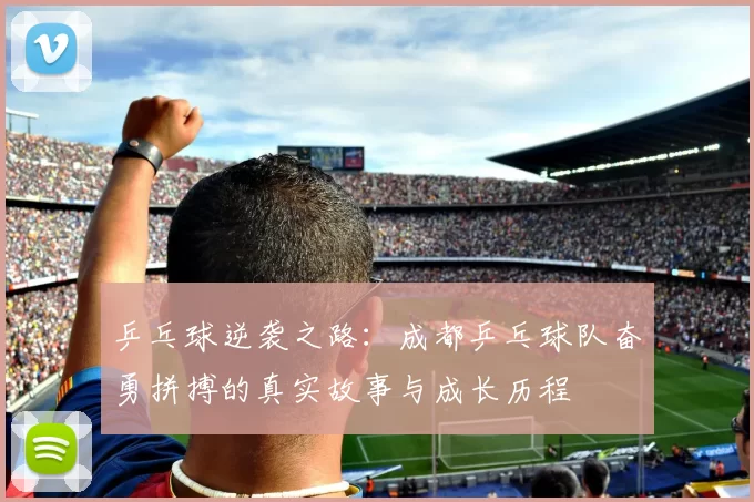 乒乓球逆袭之路：成都乒乓球队奋勇拼搏的真实故事与成长历程