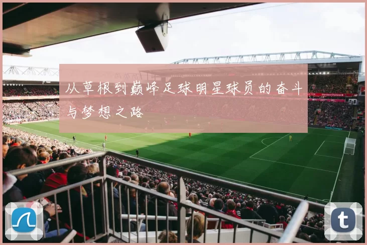 从草根到巅峰足球明星球员的奋斗与梦想之路