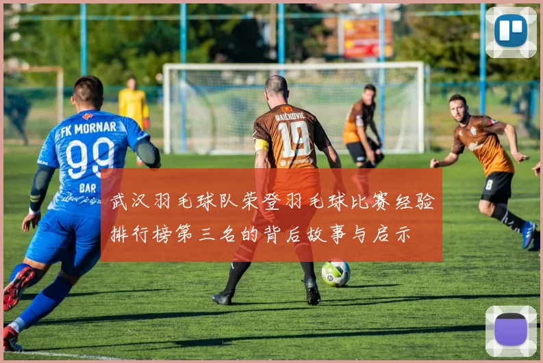 武汉羽毛球队荣登羽毛球比赛经验排行榜第三名的背后故事与启示