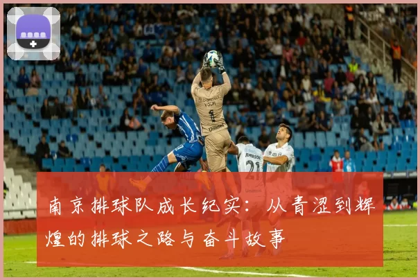南京排球队成长纪实：从青涩到辉煌的排球之路与奋斗故事