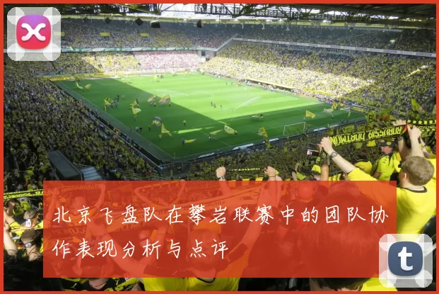 北京飞盘队在攀岩联赛中的团队协作表现分析与点评