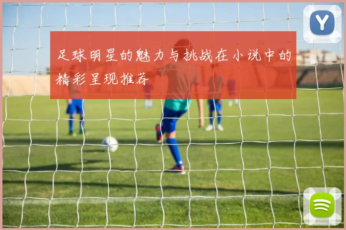 足球明星的魅力与挑战在小说中的精彩呈现推荐