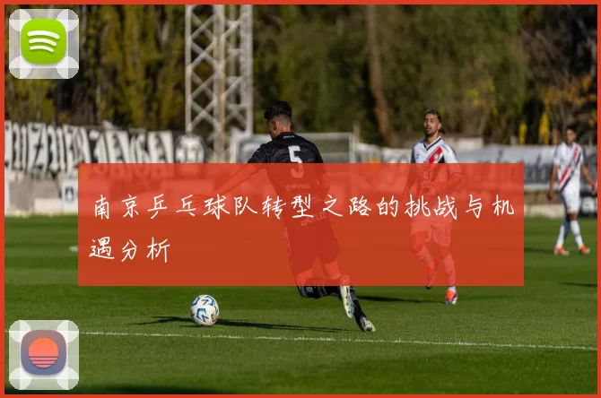 南京乒乓球队转型之路的挑战与机遇分析