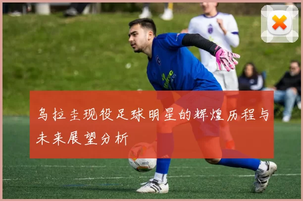乌拉圭现役足球明星的辉煌历程与未来展望分析
