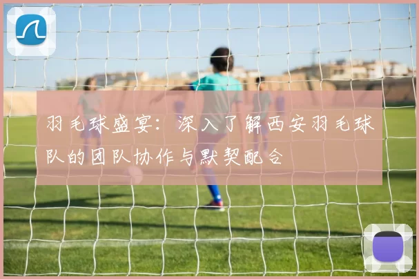 羽毛球盛宴：深入了解西安羽毛球队的团队协作与默契配合