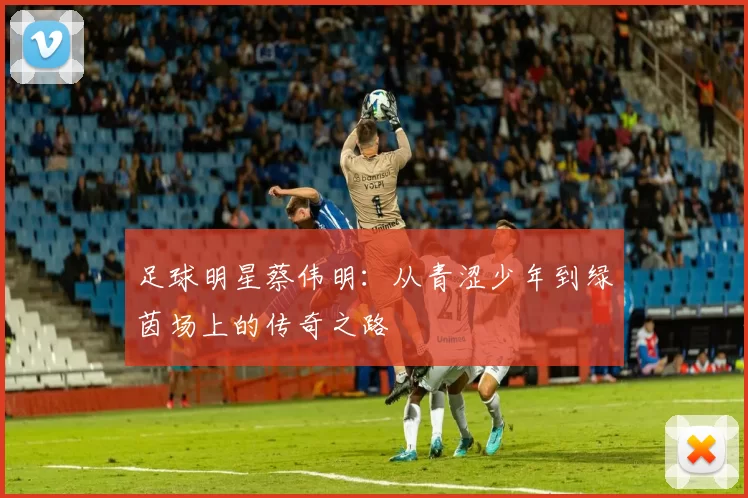 足球明星蔡伟明：从青涩少年到绿茵场上的传奇之路