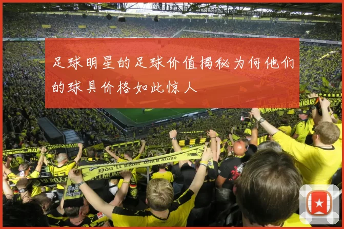 足球明星的足球价值揭秘为何他们的球具价格如此惊人