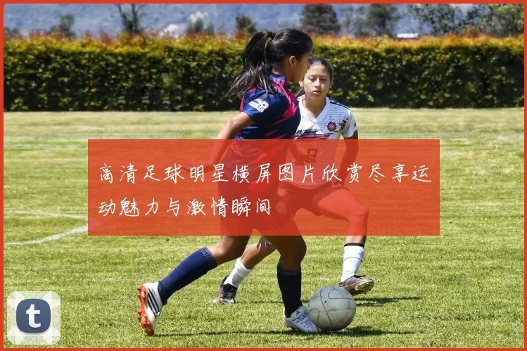 高清足球明星横屏图片欣赏尽享运动魅力与激情瞬间